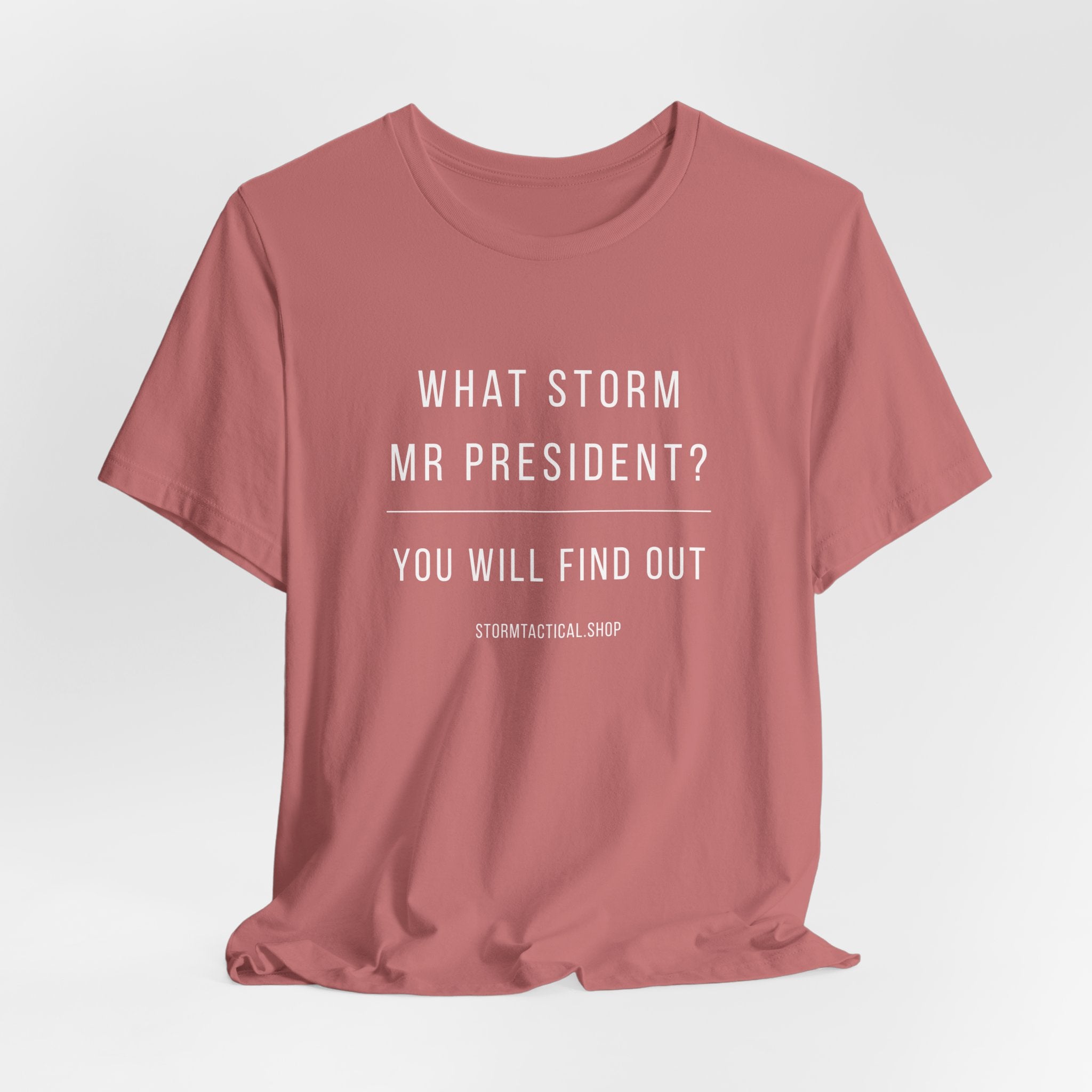 Graphic Tee — "What Storm Mr President? You Will Find Out" Statement Shirt